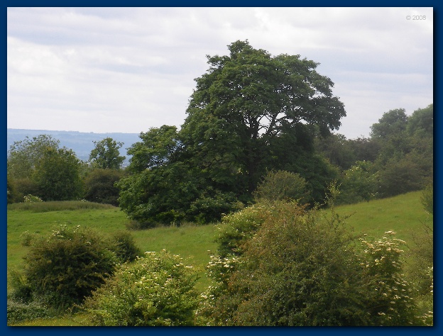 600x449 pixels (136K)